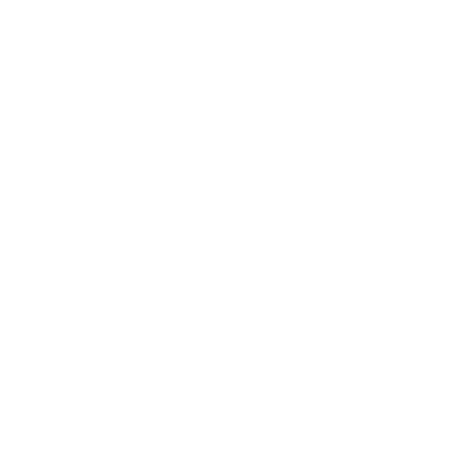 NO BS! Ventures